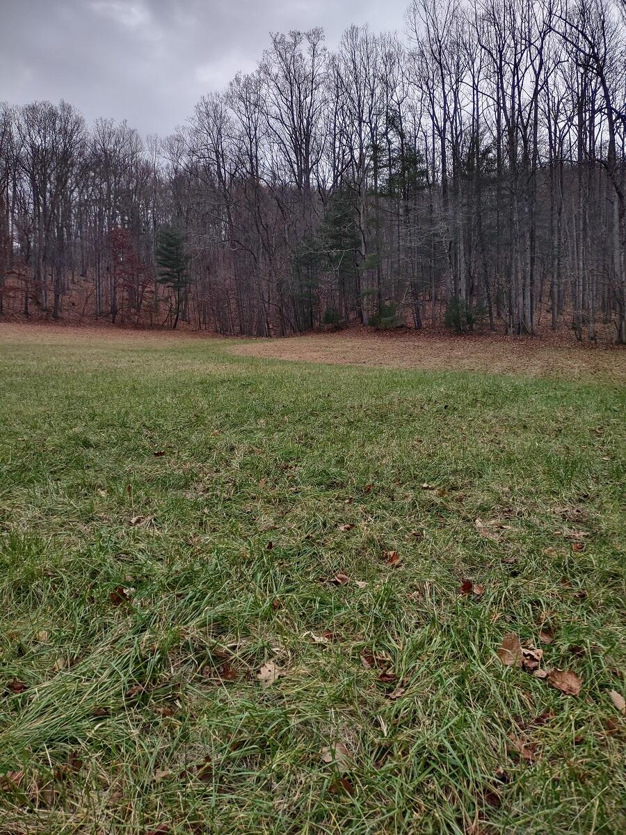 0 Naff Road Boones Mill, VA 24065 - Photo 1 of 12 IMG_20211210_144304581_HDR