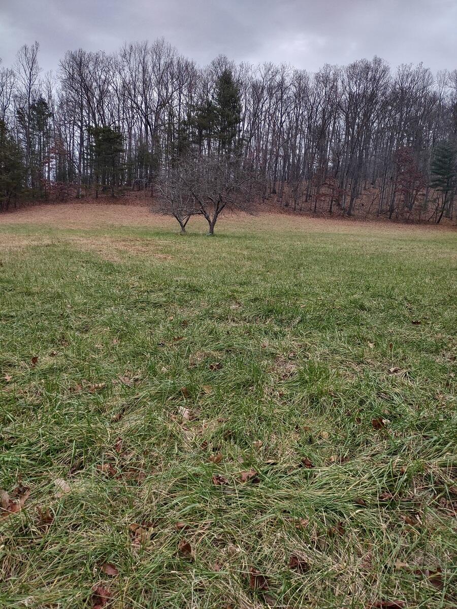 0 Naff Road Boones Mill, VA 24065 - Photo 2 of 12 IMG_20211210_144308548_HDR