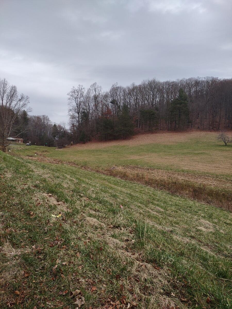 0 Naff Road Boones Mill, VA 24065 - Photo 11 of 12 IMG_20211210_145013663
