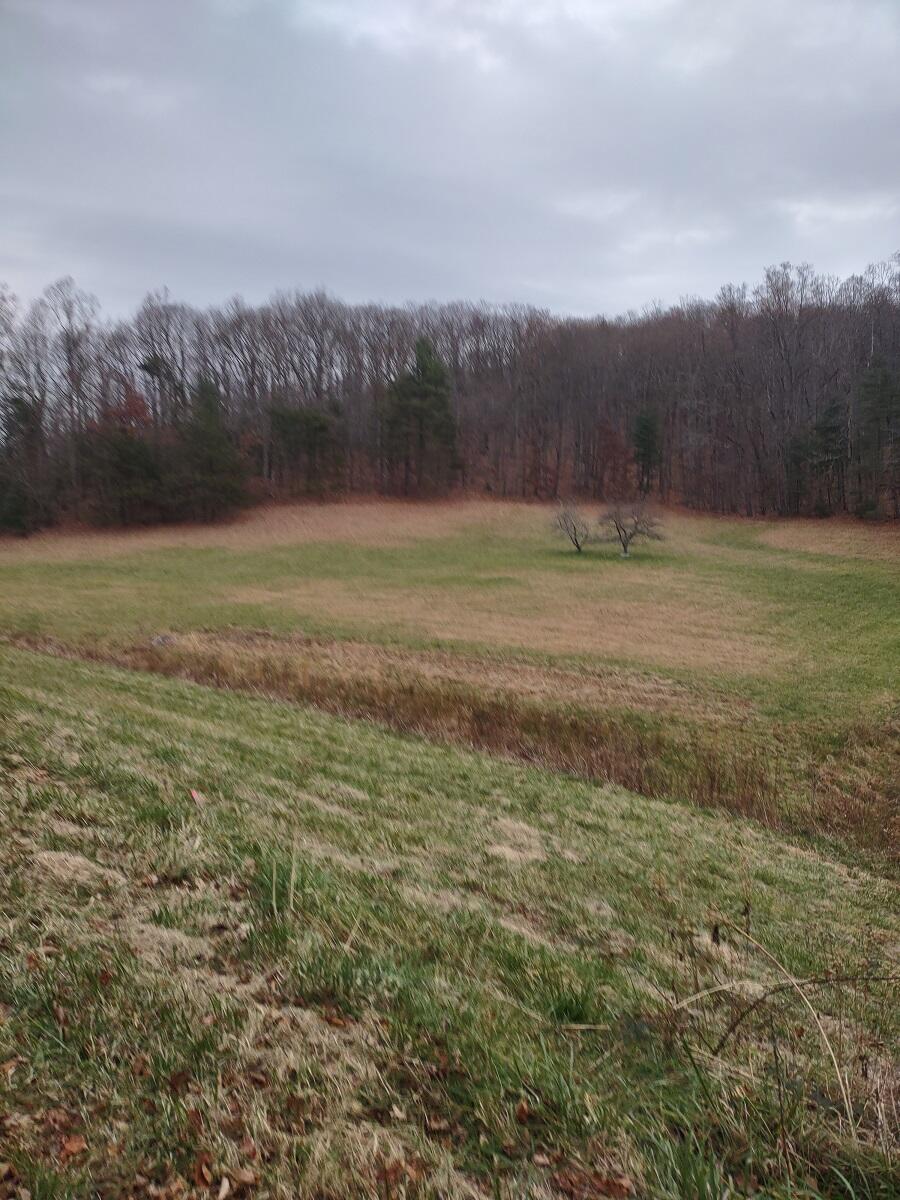 0 Naff Road Boones Mill, VA 24065 - Photo 12 of 12 IMG_20211210_145015578