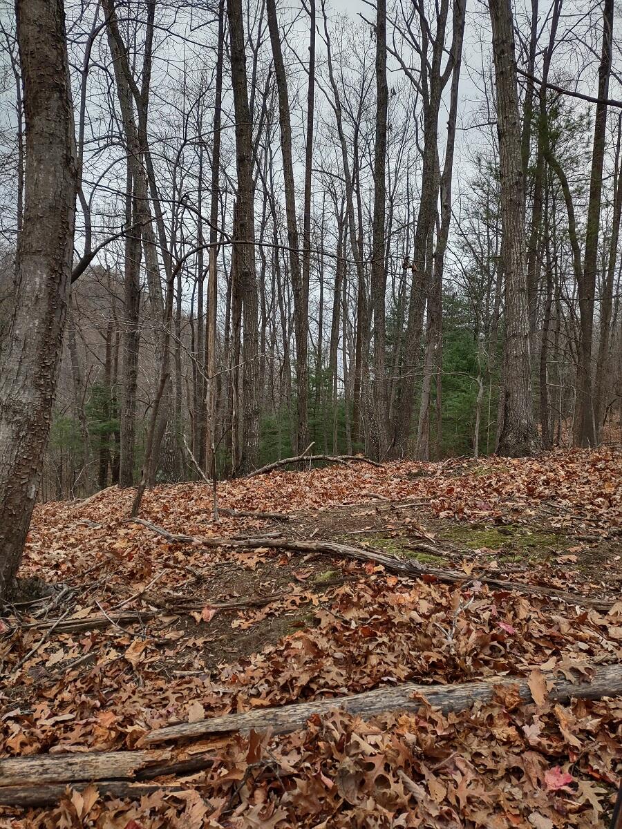0 Naff Road Boones Mill, VA 24065 - Photo 3 of 12 IMG_20211210_144434426_HDR