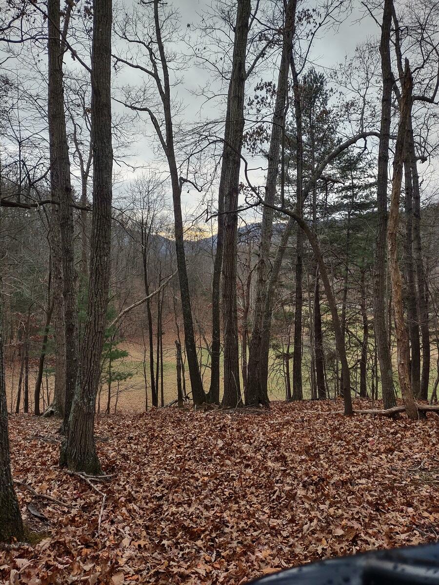 0 Naff Road Boones Mill, VA 24065 - Photo 4 of 12 IMG_20211210_144530242_HDR
