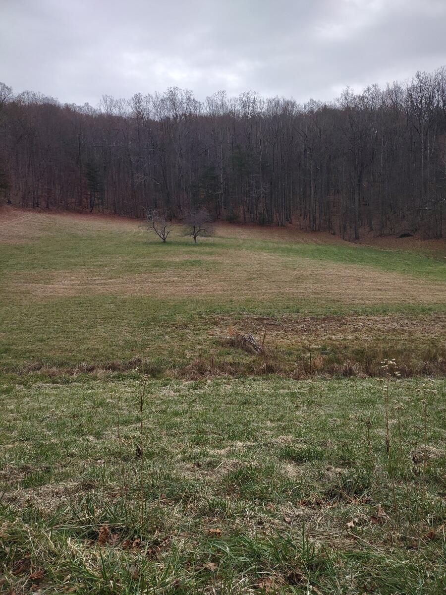 0 Naff Road Boones Mill, VA 24065 - Photo 6 of 12 IMG_20211210_144819456
