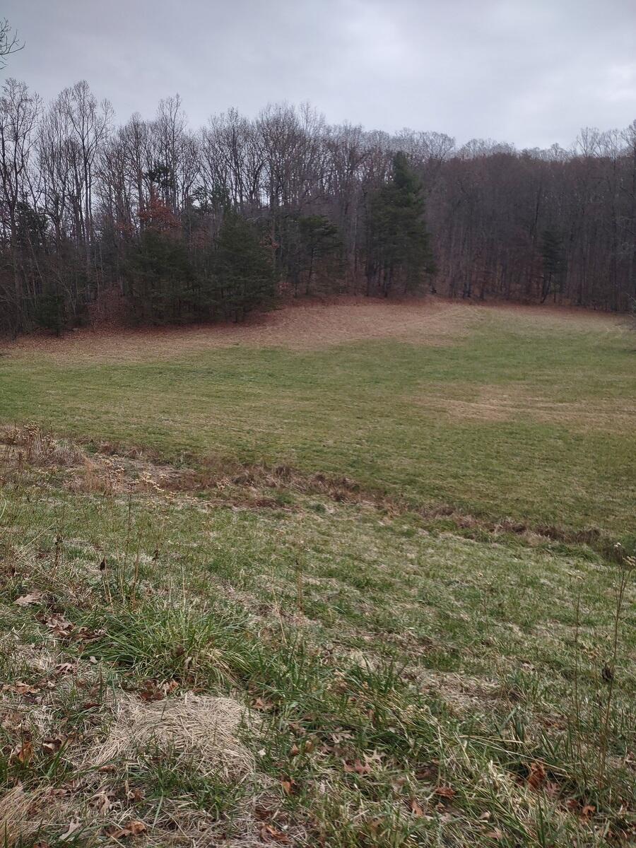 0 Naff Road Boones Mill, VA 24065 - Photo 8 of 12 IMG_20211210_144825847