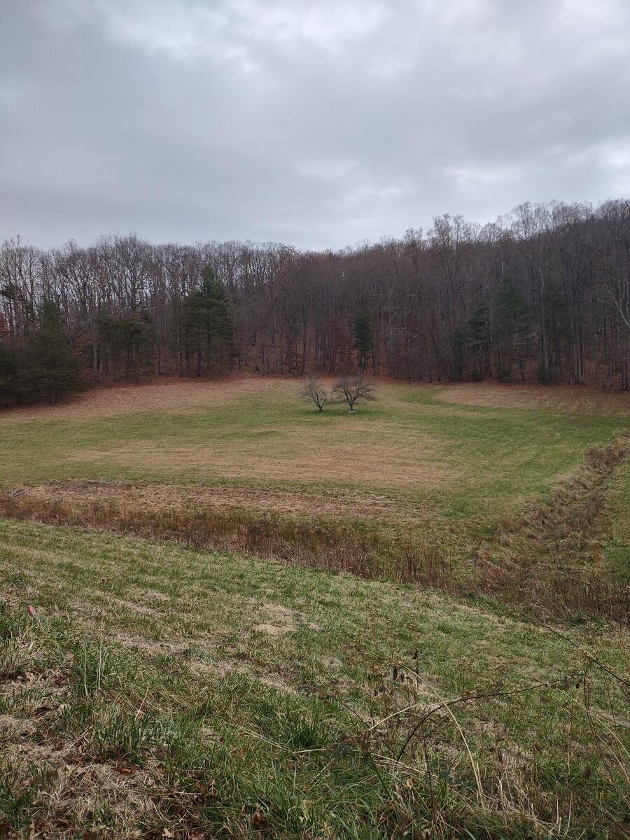0 Naff Road Boones Mill, VA 24065 - Photo 10 of 12 IMG_20211210_145009817