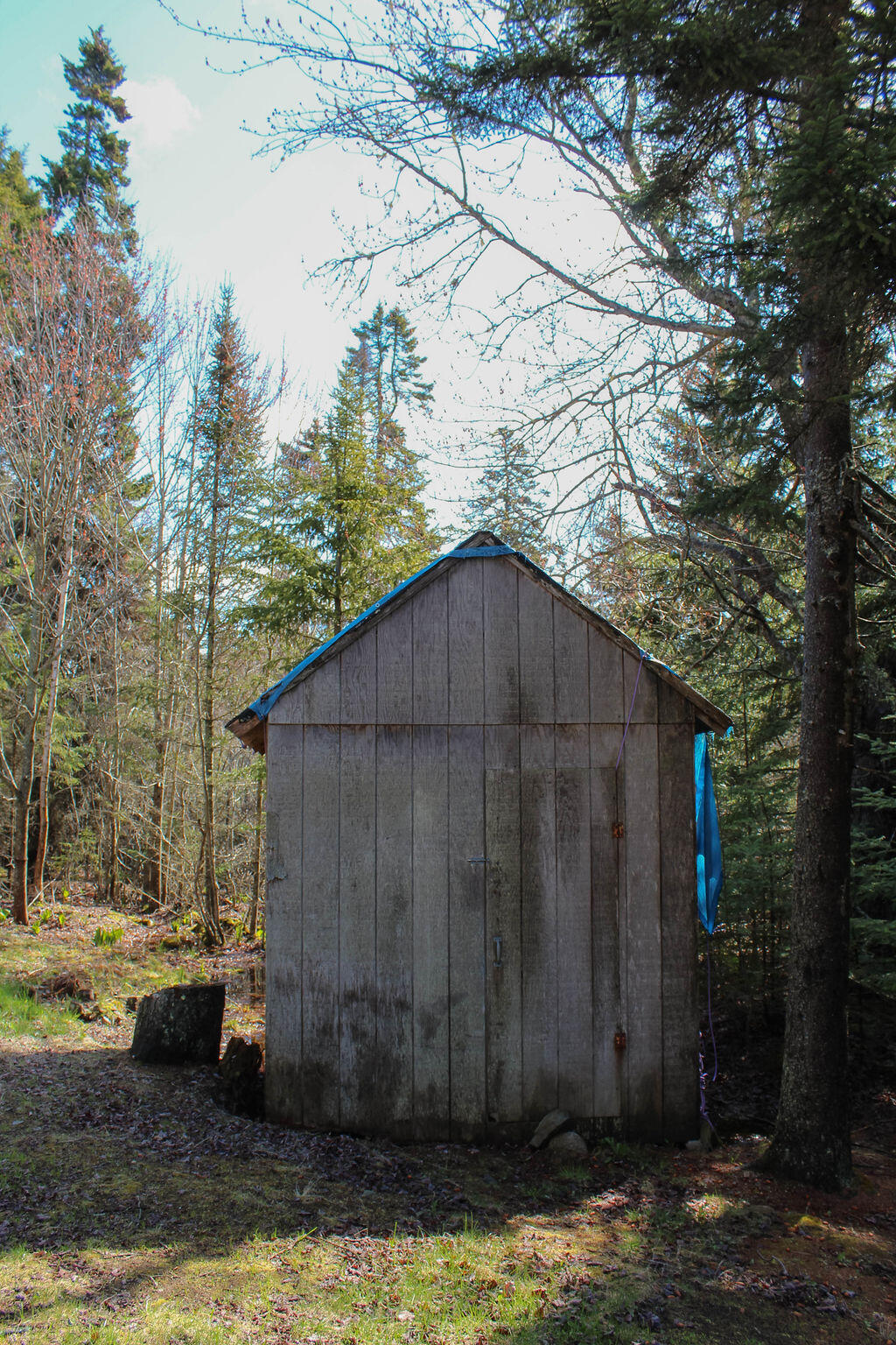 5 Abigail Rock Road Vinalhaven, ME 04863 - Photo 25 of 32 IMG_6406