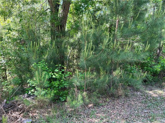 76249 Green Valley Road Folsom, LA 70437 - Photo 12 of 13