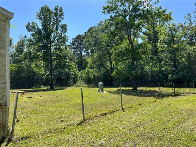 76249 Green Valley Road Folsom, LA 70437 - Photo 5 of 13