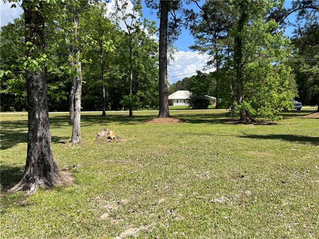76249 Green Valley Road Folsom, LA 70437 - Photo 6 of 13