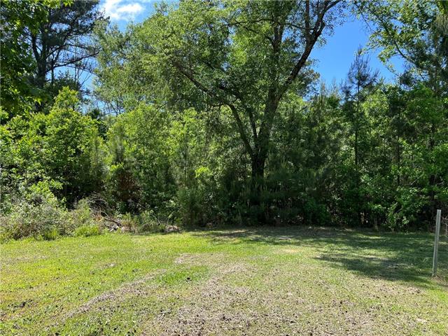 76249 Green Valley Road Folsom, LA 70437 - Photo 9 of 13