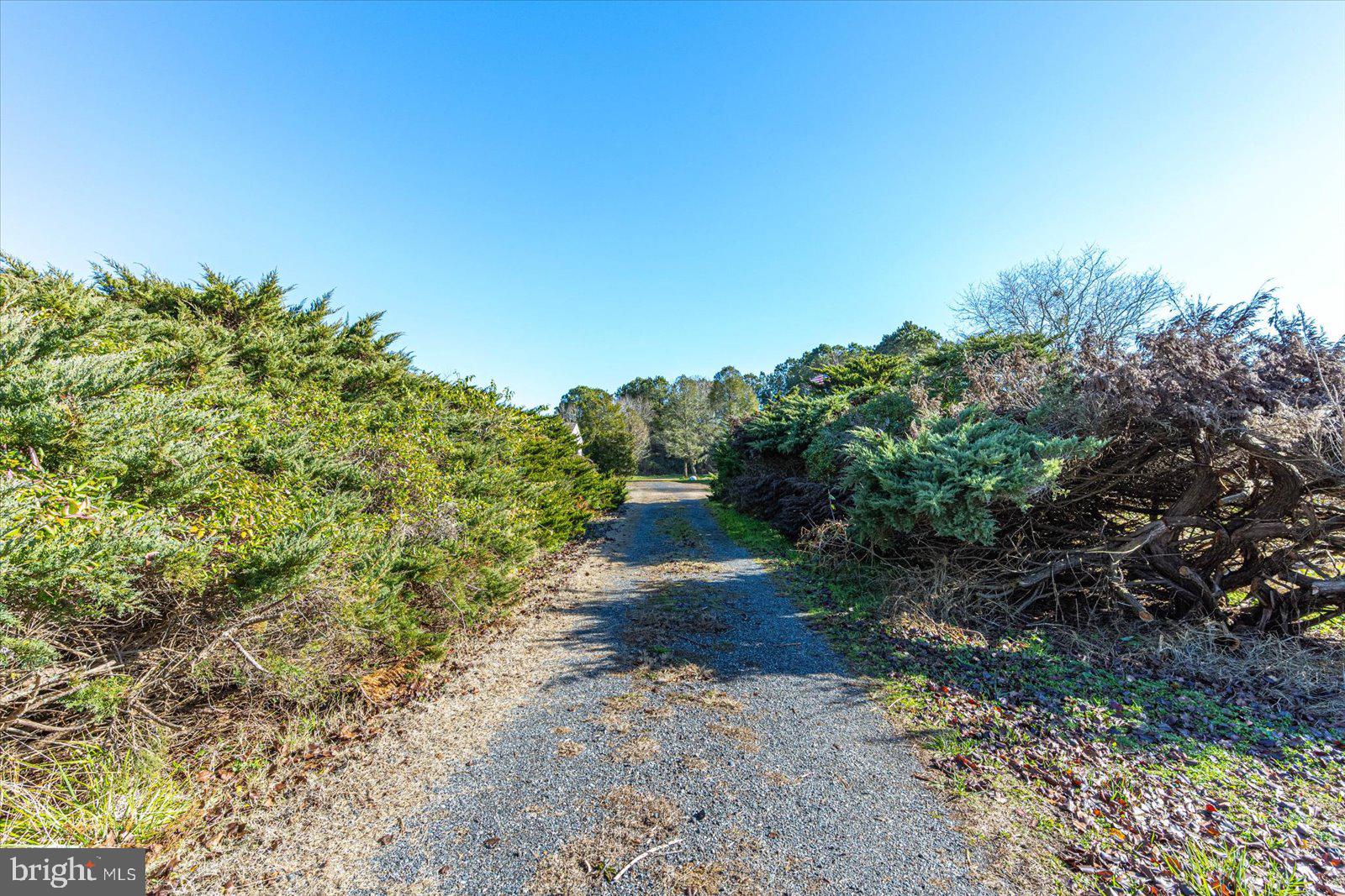 758 Cedar Hall Road Pocomoke City, MD 21851 - Photo 44 of 87