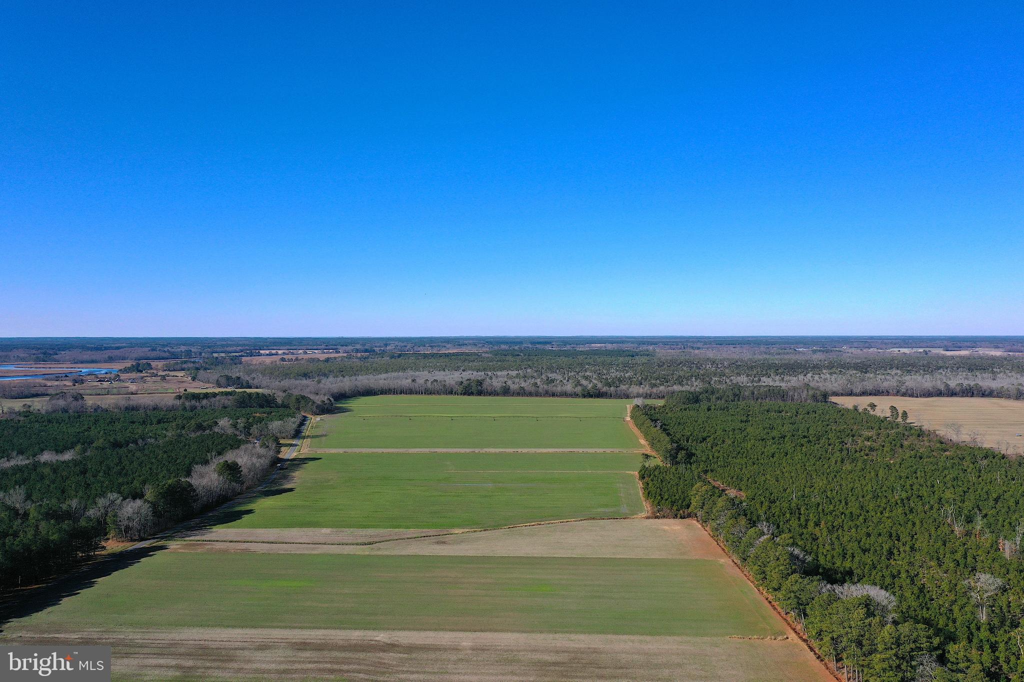 758 Cedar Hall Road Pocomoke City, MD 21851 - Photo 72 of 87