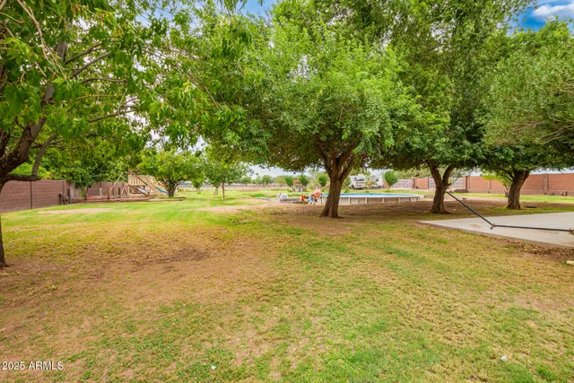 a view of yard with tree