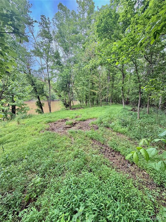 800 Southeast Rd T19 Collins Mo 64738 Collins, MO 64738 - Photo 26 of 36