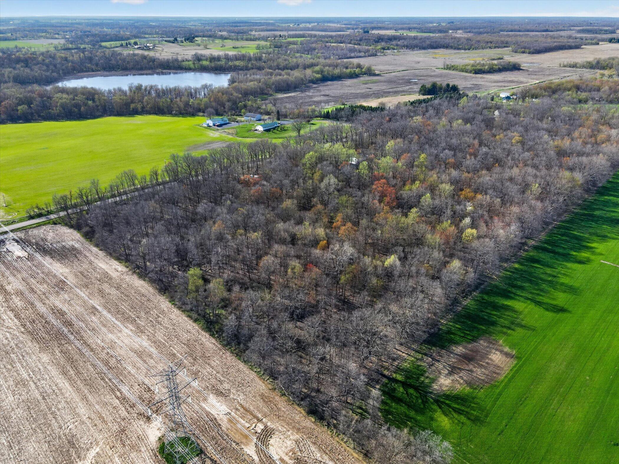 12390 Holibaugh Road Springport, MI 49284 - Photo 14 of 20 11-VL-Springport-MI-49284-WindowStill-Re