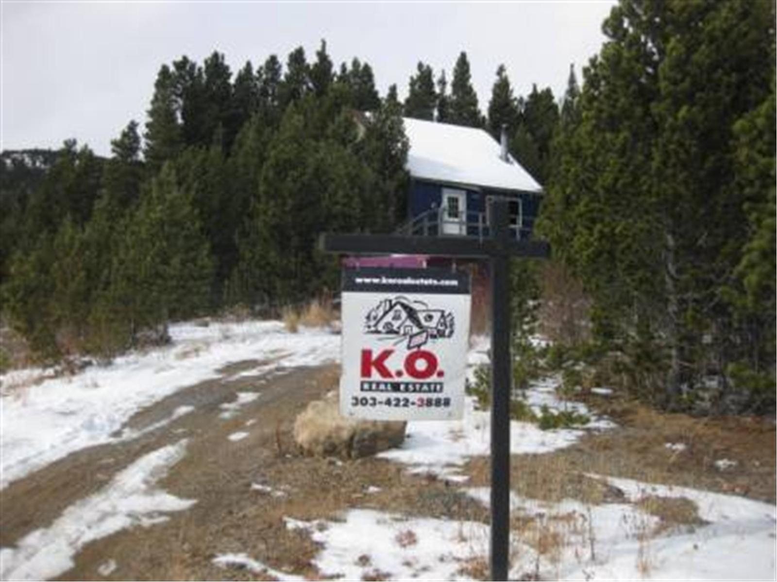 135 Beaver Road Idaho Springs, CO 80452 - Photo 1 of 1 Gallery Image 1