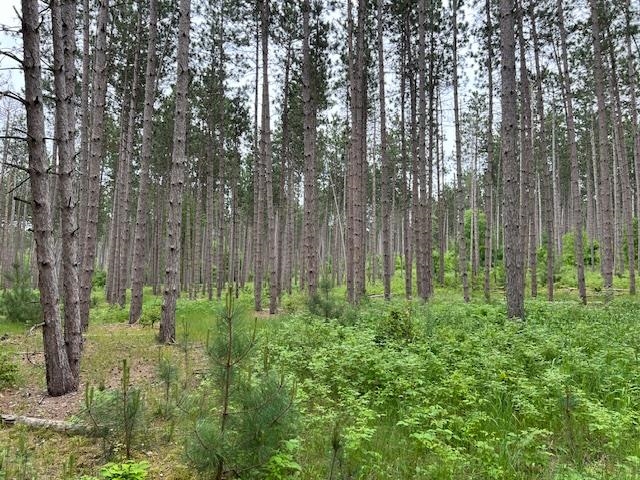 5193 Samels Road Williamsburg, MI 49690 - Photo 32 of 34