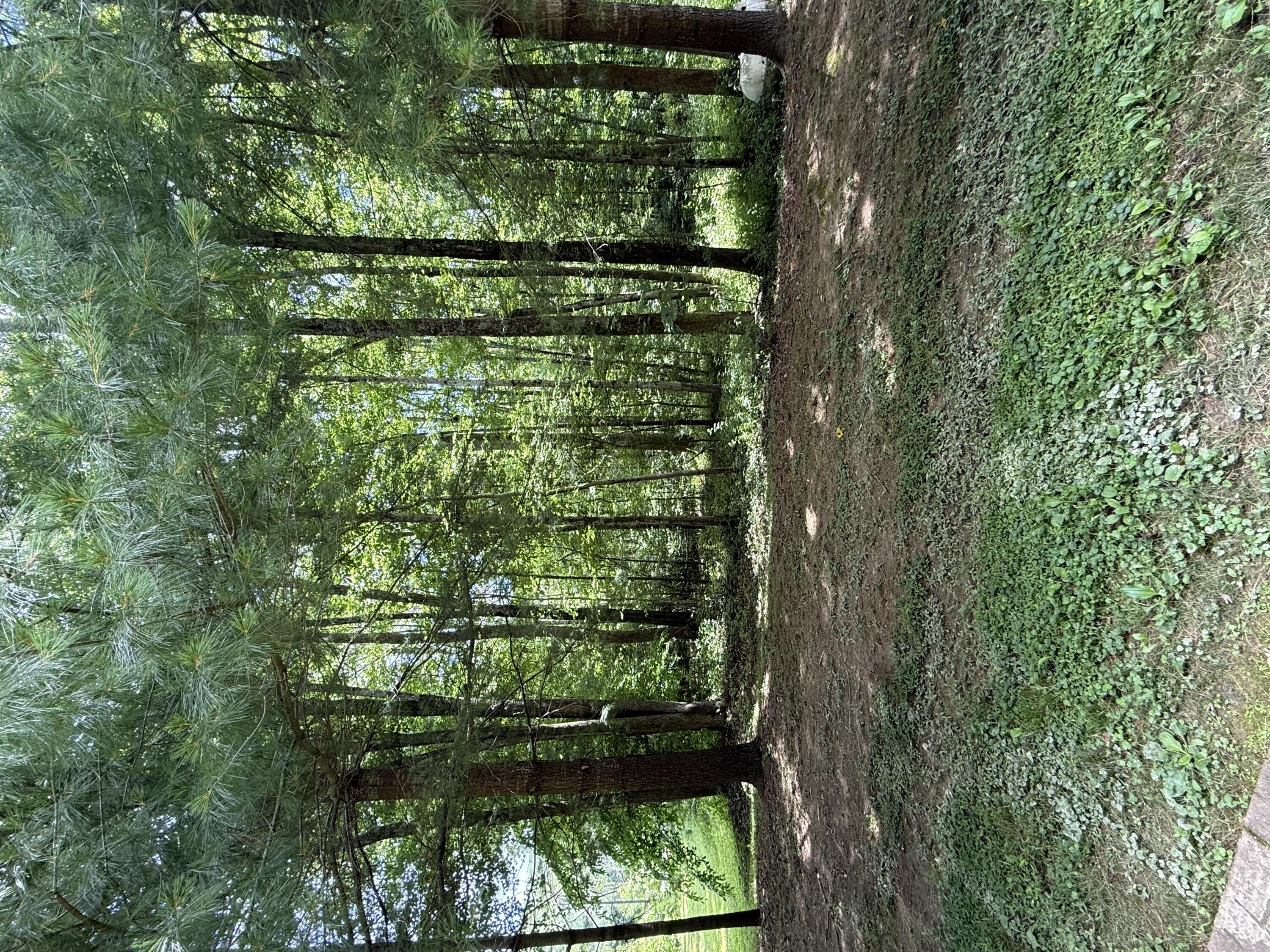 9851 Cranston Road Morehead, KY 40351 - Photo 36 of 52 IMG_0672 2