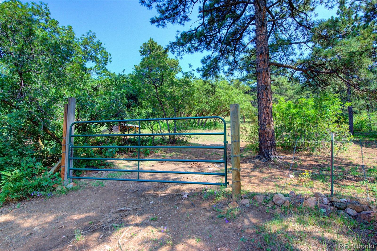 9106 Jennings Road Morrison, CO 80465 - Photo 32 of 39 Gallery Image 32