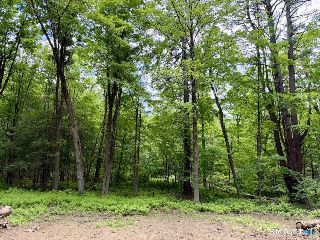 0 Great Hollow Road West Cornwall, CT 06796 - Photo 6 of 10