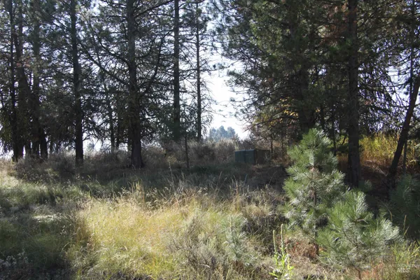 $319,000 | 41 Vista Point Loop, Cascade, ID 83611