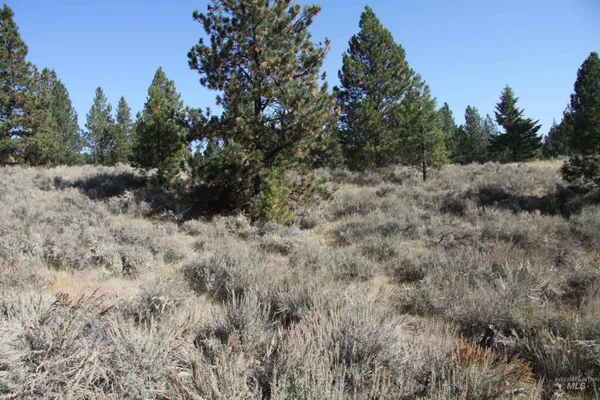 $319,000 | 41 Vista Point Loop, Cascade, ID 83611