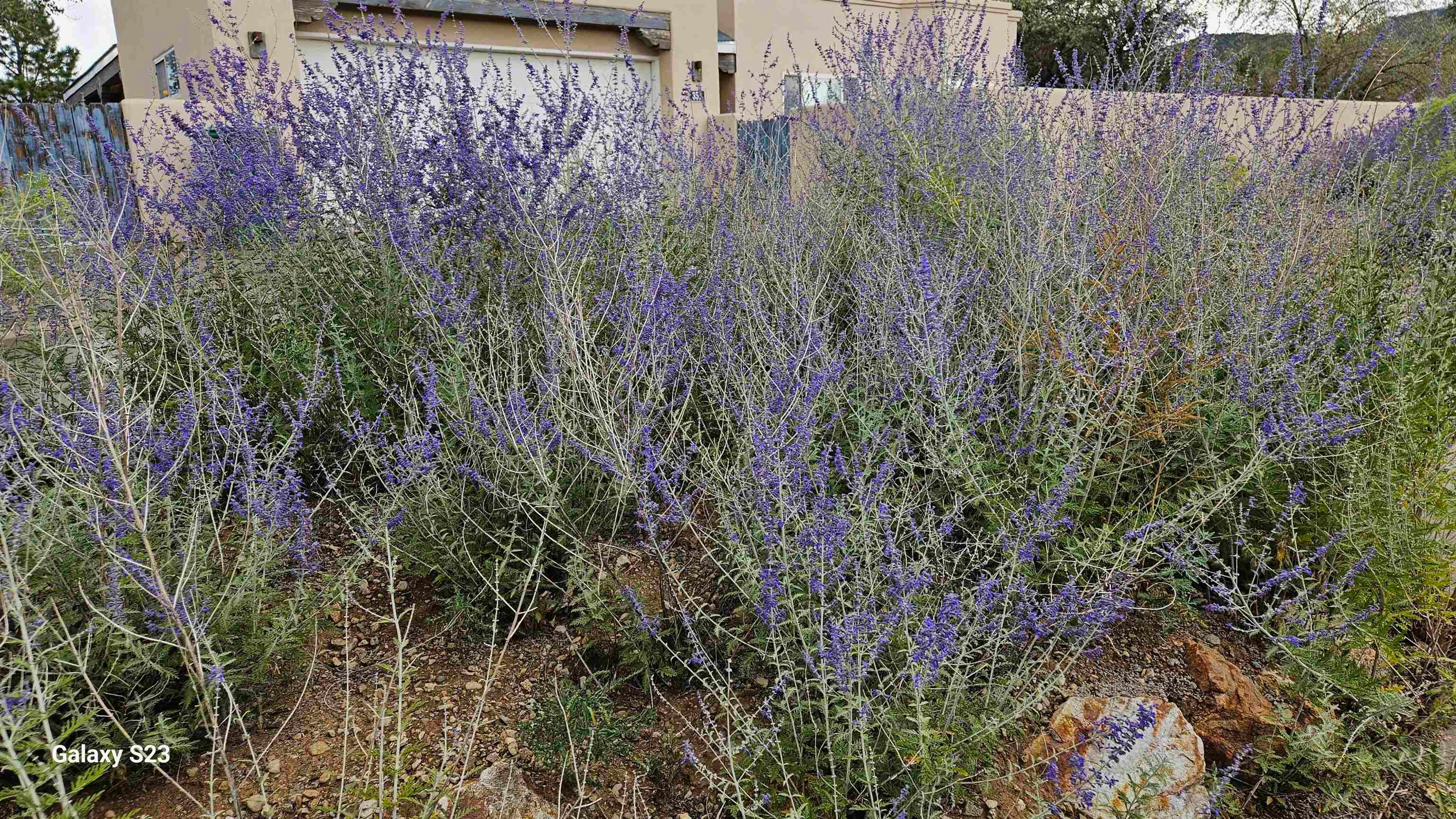 351 Monte Vista Road Taos, NM 87571 - Photo 18 of 24