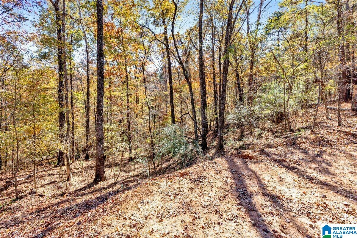 0 Hammock Road Trussville, AL 35173 - Photo 13 of 31