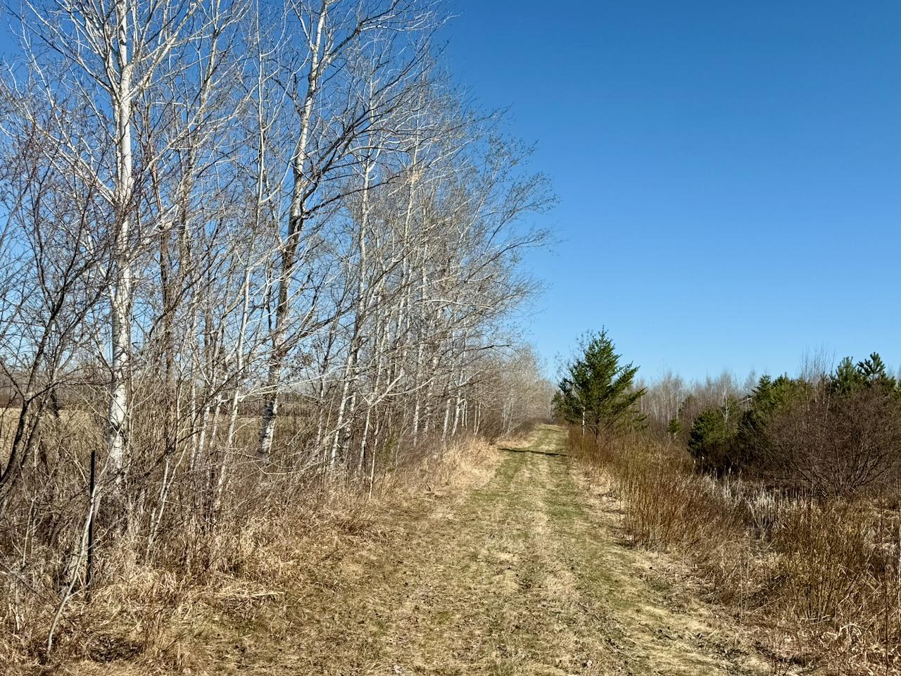 35504 Jackson Road Askov, MN 55704 - Photo 19 of 39