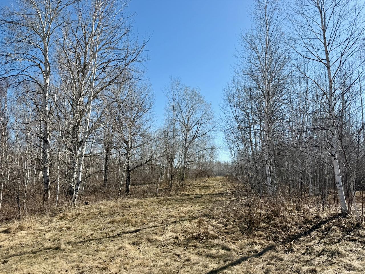 35504 Jackson Road Askov, MN 55704 - Photo 20 of 39
