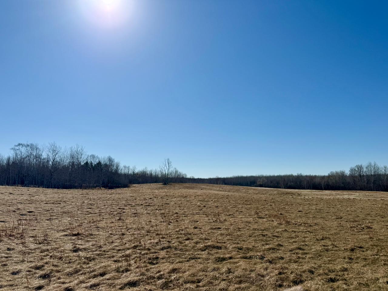 35504 Jackson Road Askov, MN 55704 - Photo 26 of 39