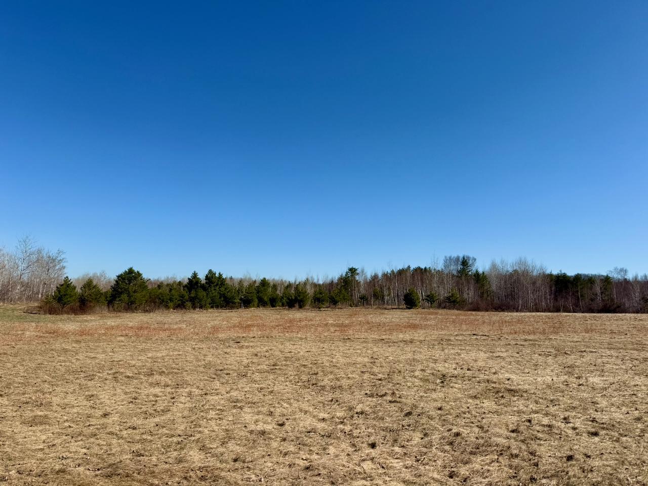 35504 Jackson Road Askov, MN 55704 - Photo 27 of 39