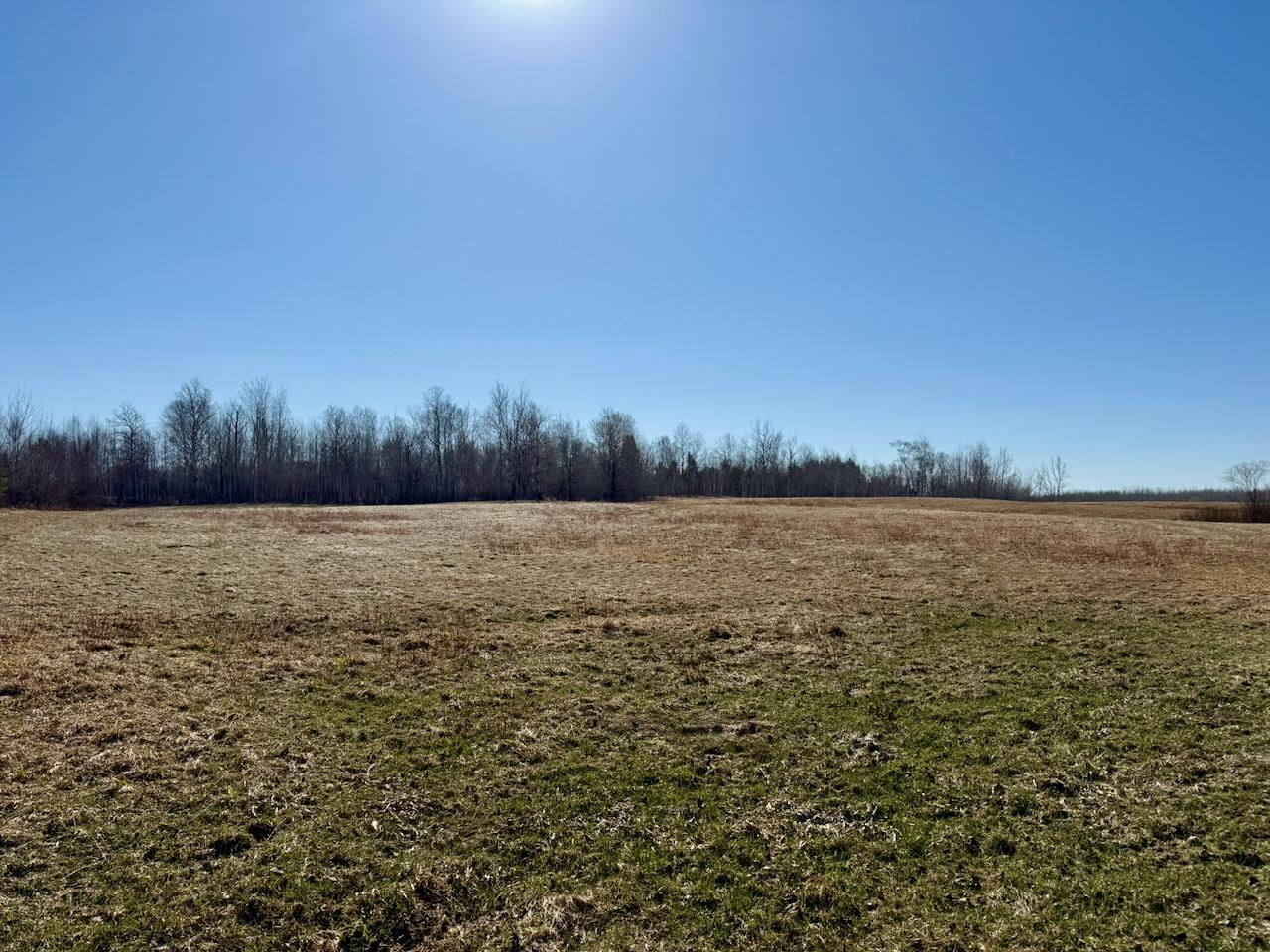35504 Jackson Road Askov, MN 55704 - Photo 28 of 39