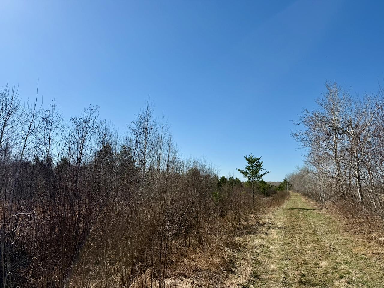 35504 Jackson Road Askov, MN 55704 - Photo 32 of 39
