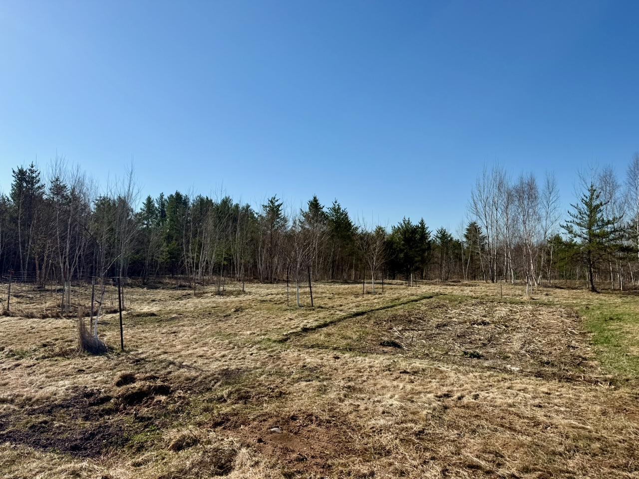 35504 Jackson Road Askov, MN 55704 - Photo 35 of 39