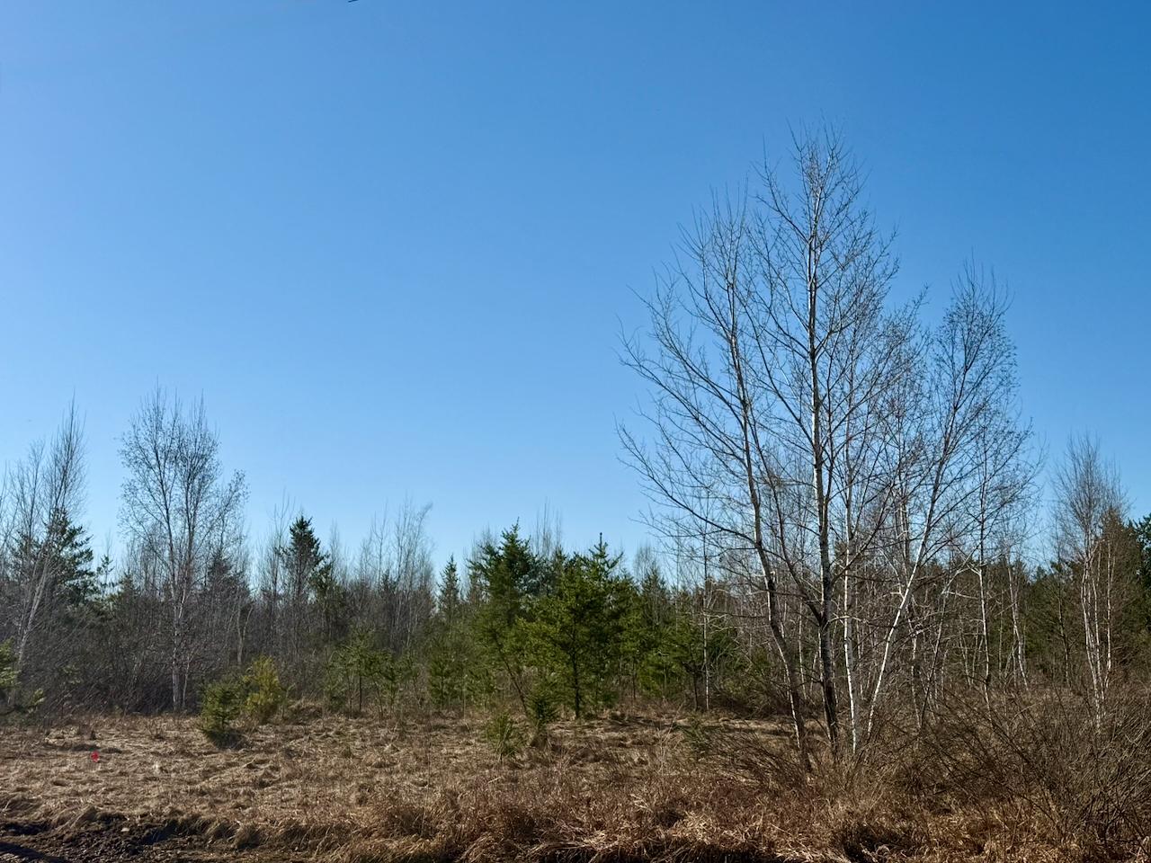 35504 Jackson Road Askov, MN 55704 - Photo 37 of 39