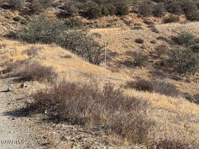a view of a mountain in the distance
