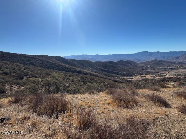 4700 Shannon View Road Acton, CA 93510 - Photo 26 of 31 a view of a mountain range with trees in the background