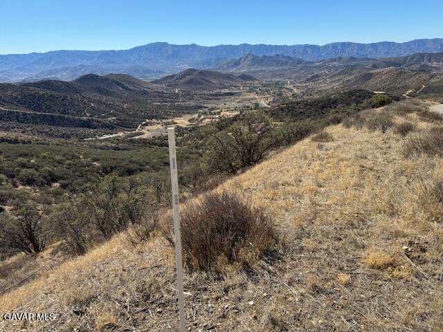 4700 Shannon View Road Acton, CA 93510 - Photo 31 of 31 a view of a mountain in the distance in a field