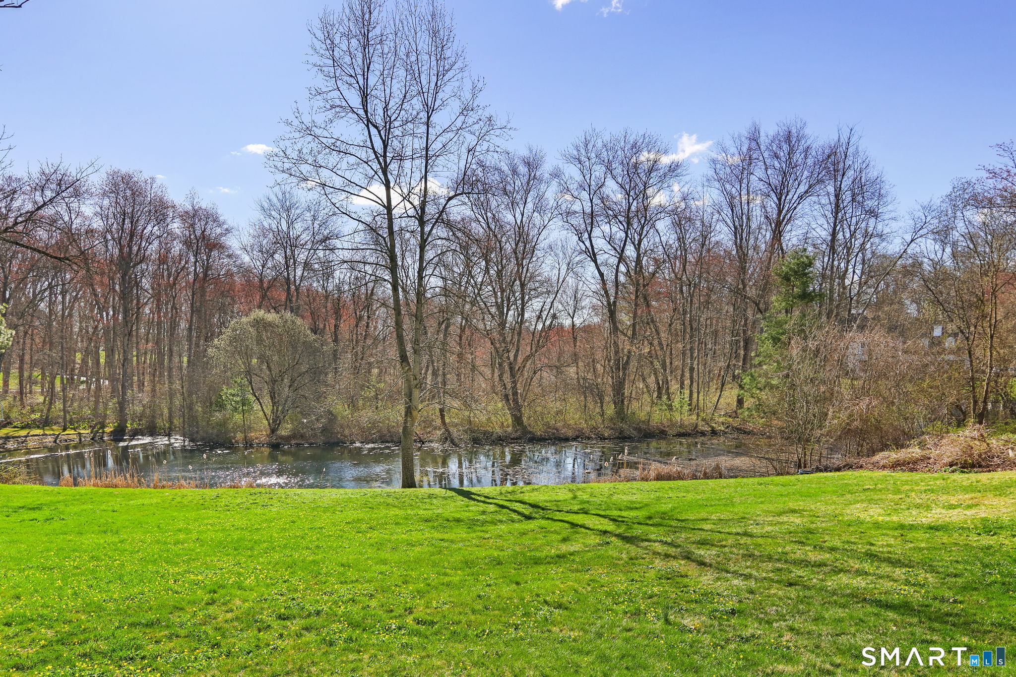 323 Smith Ridge Road New Canaan, CT 06840 - Photo 37 of 39 a backyard of a house with lots of green space