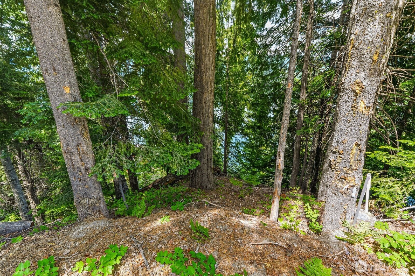 0 Cedar Brae Road Leavenworth, WA 98826 - Photo 7 of 29