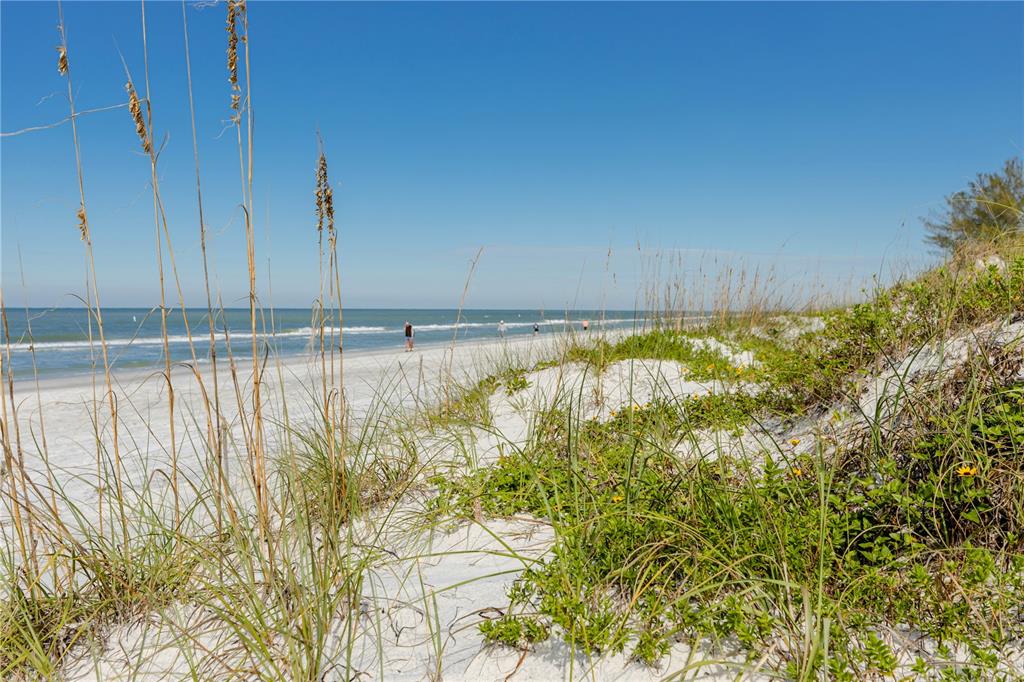 404 Maxwell Place Indian Rocks Beach, FL 33785 - Photo 45 of 66