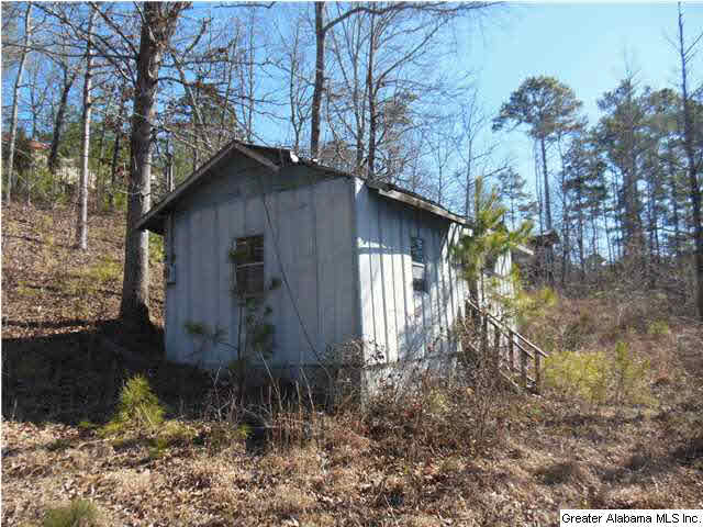 Lakeview Drive, Unit 10 Oneonta, AL 35121 - Photo 3 of 4