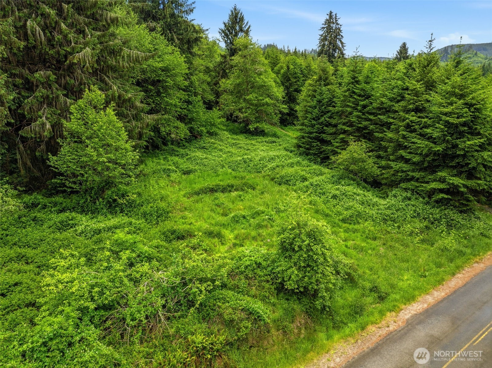 0 East Valley Road Skamokawa, WA 98647 - Photo 1 of 15