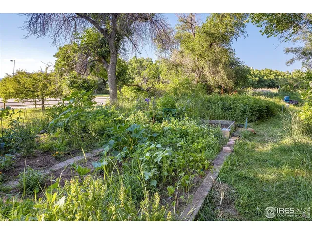 a view of a garden with a lake