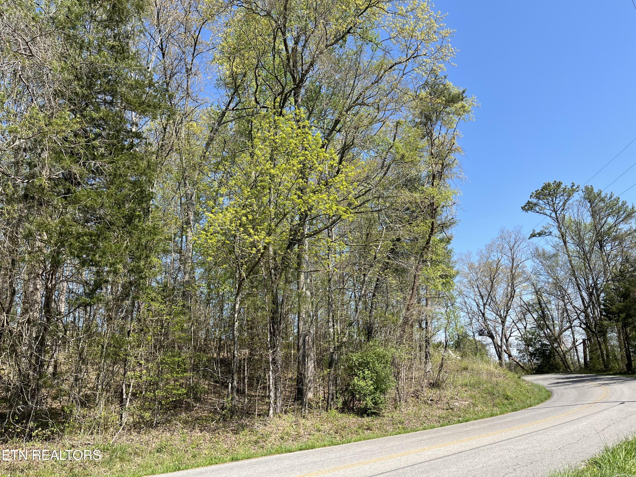 101 Fairview Road Tellico Plains, TN 37385 - Photo 9 of 11 Gallery Image 9
