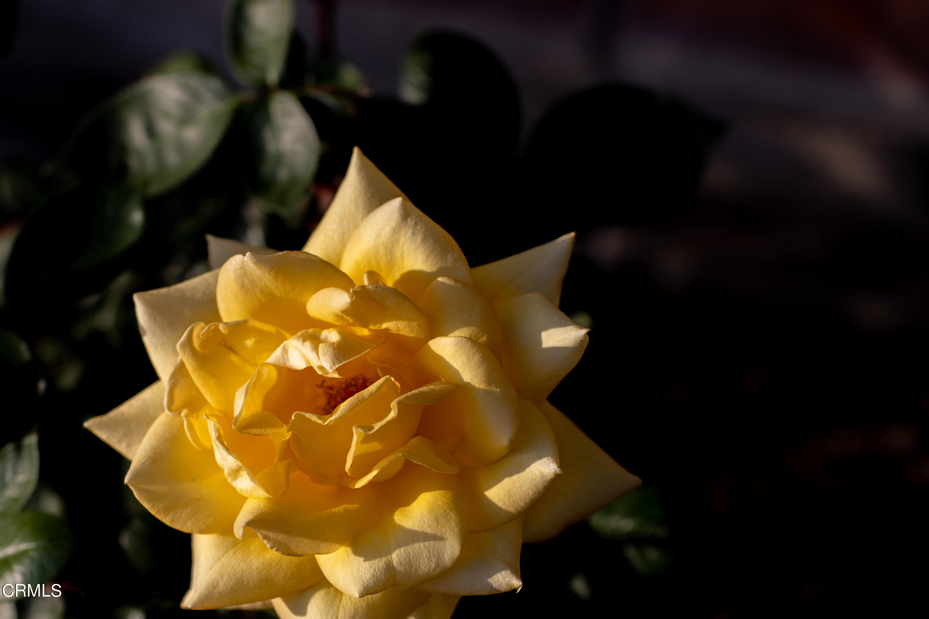 5028 Ramsdell Avenue La Crescenta, CA 91214 - Photo 25 of 29 a view of entryway