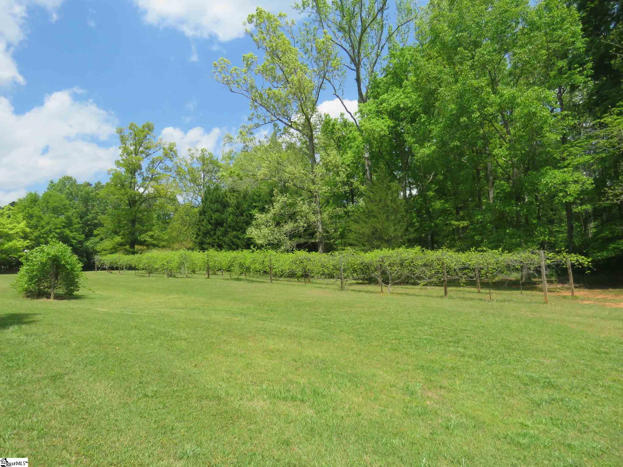 273 Ridge Hill Road Cross Hill, SC 29332 - Photo 36 of 36 Gallery Image 36
