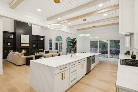 a living room with furniture and a potted plant