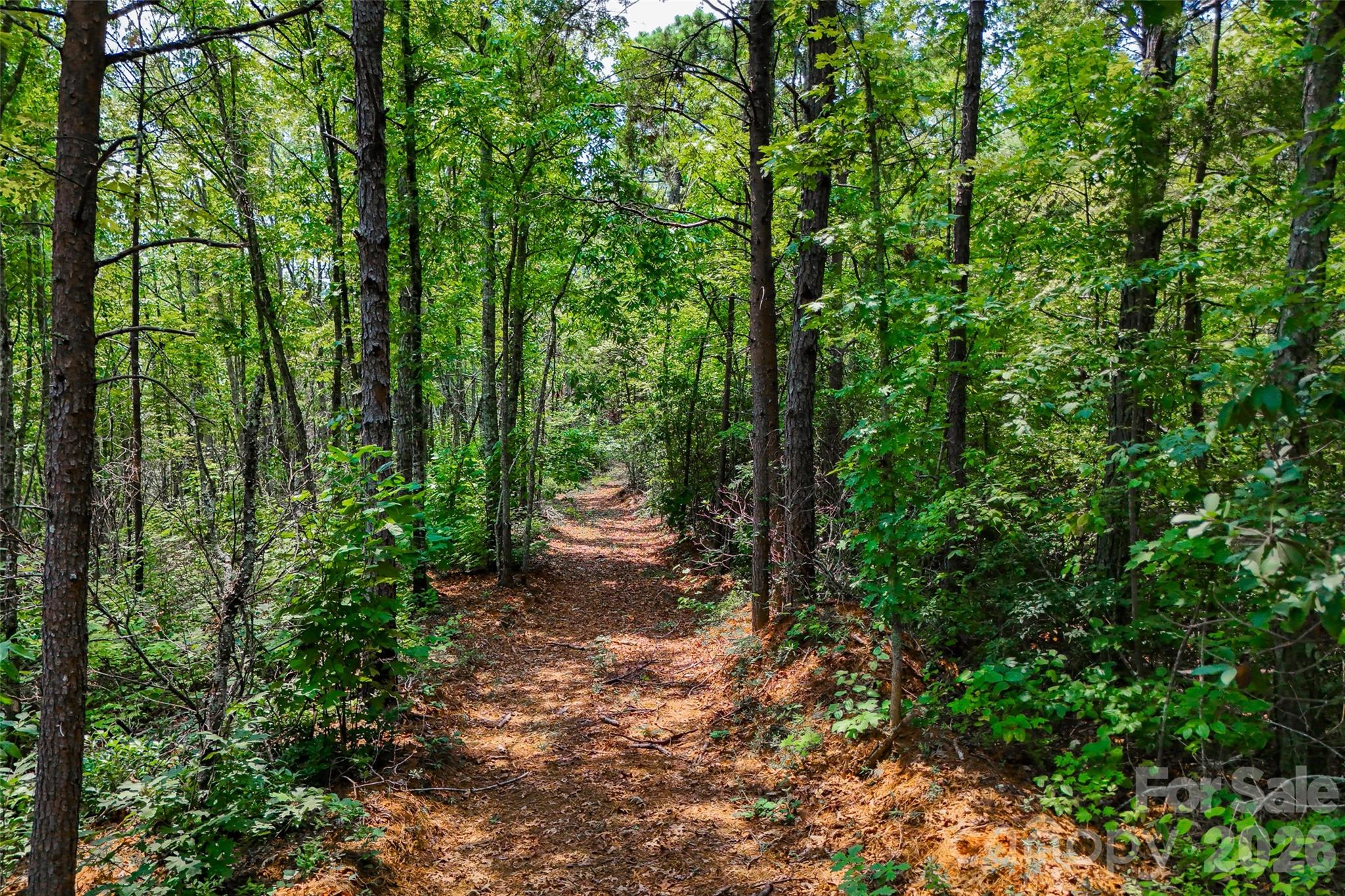 3815 Bat Cave Road Old Fort, NC 28762 - Photo 43 of 48 Gallery Image 43
